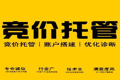 百度推广渠道拓展，成功案例分析